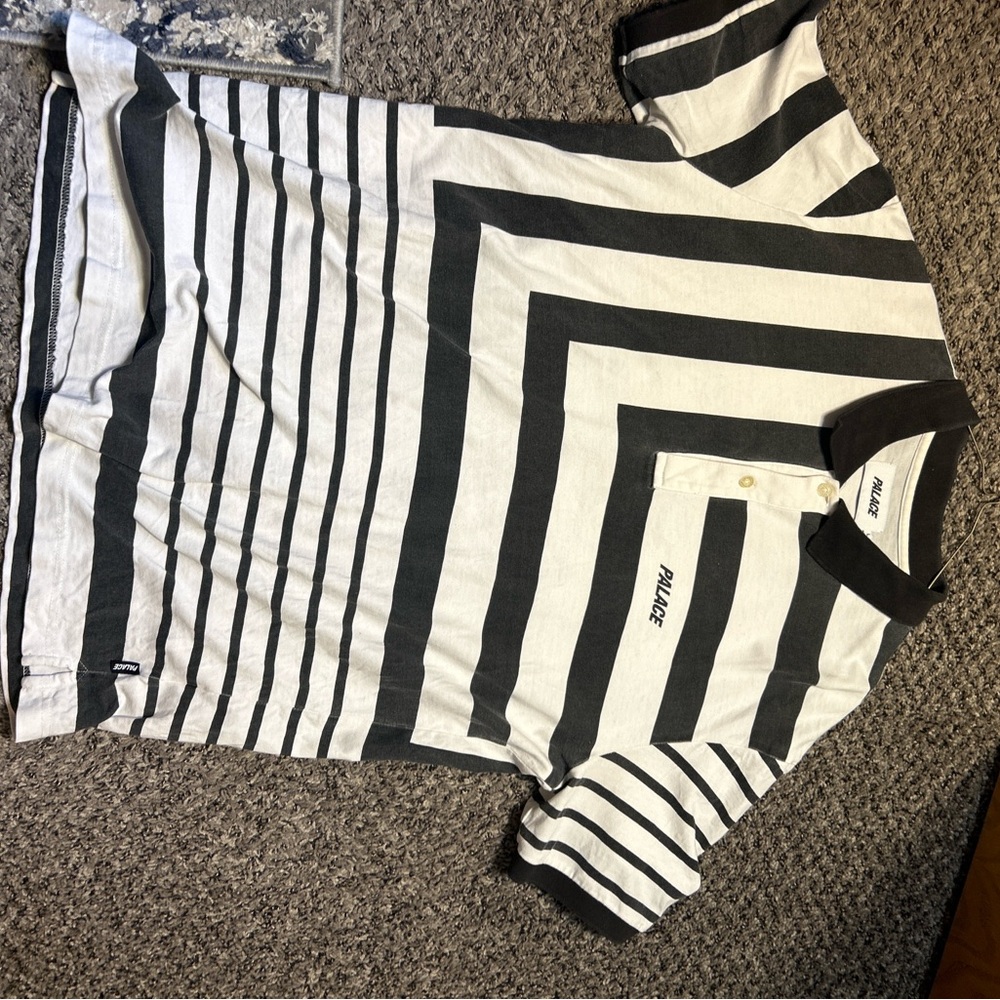 Palace Polo - Picture 4 of 6